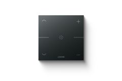 Loxone Touch Pure Tree Antracit